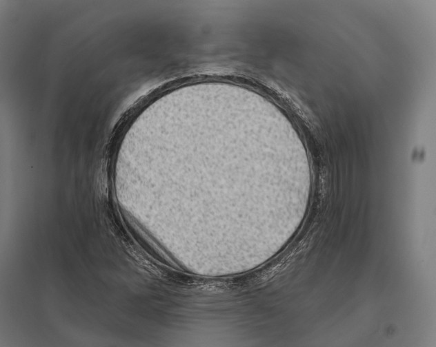X0000097631262200803281051
