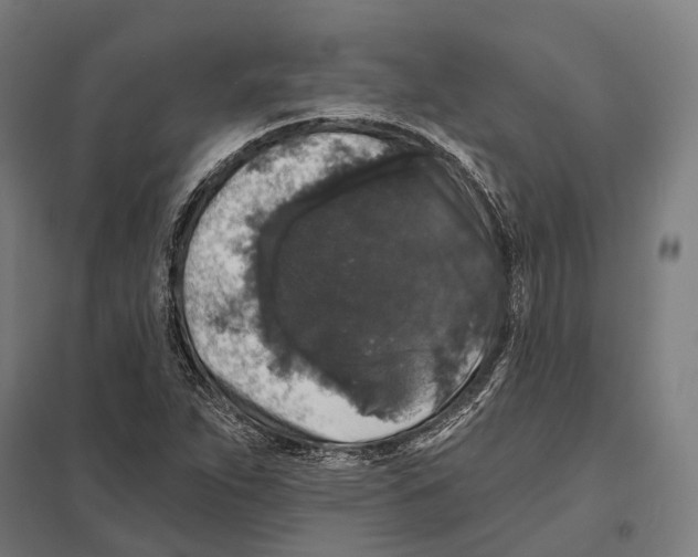 X0000097631263200803281051