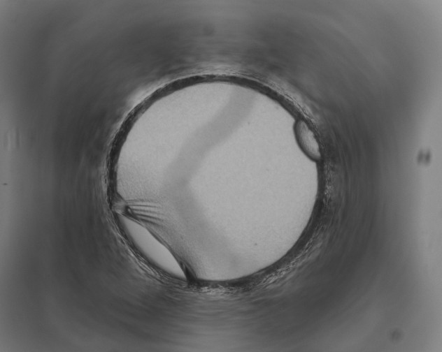 X0000097631264200803281051