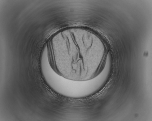 X0000097631265200803281051