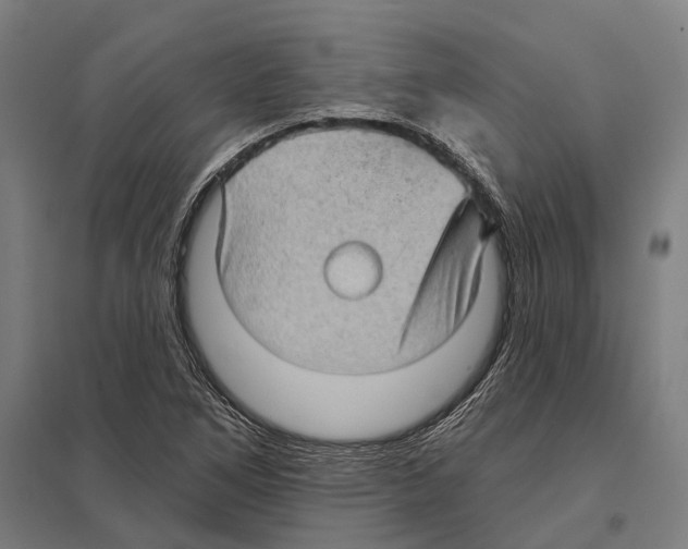 X0000097631266200803281051