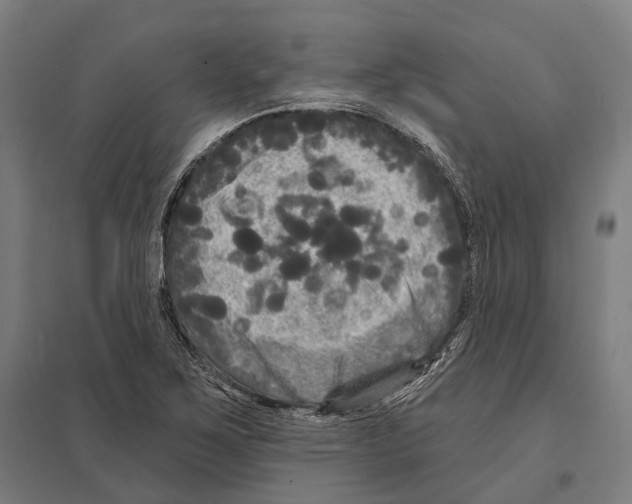 X0000097631267200803281051