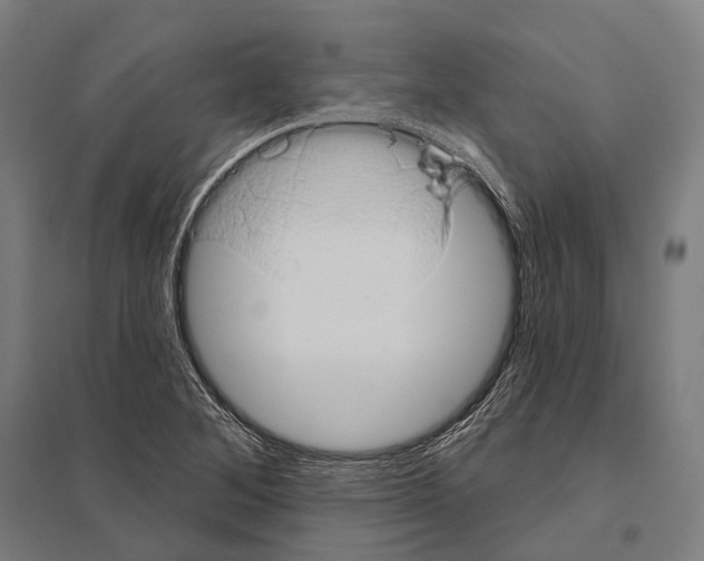 X0000097631268200803281051