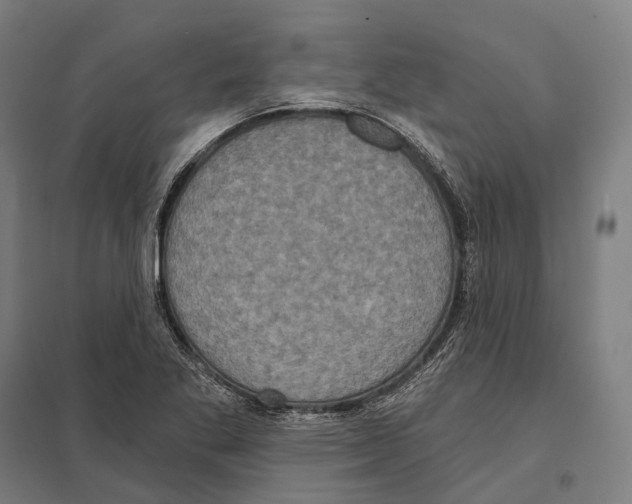 X0000097631269200803281051