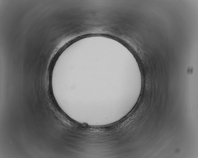 X0000097631270200803281051