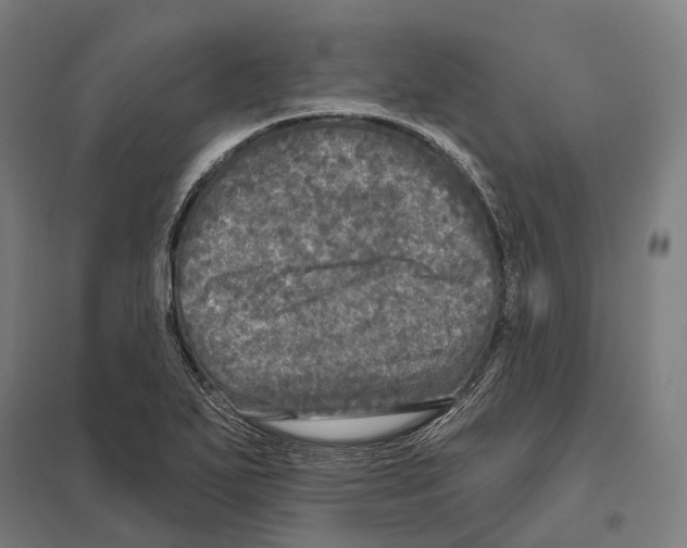 X0000097631271200803281051