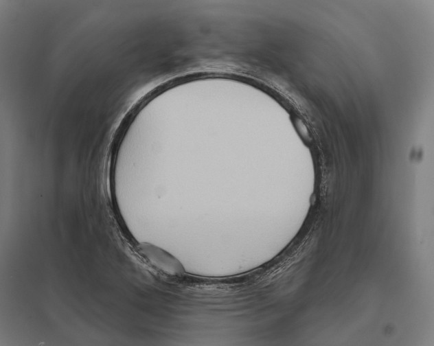 X0000097631272200803281051