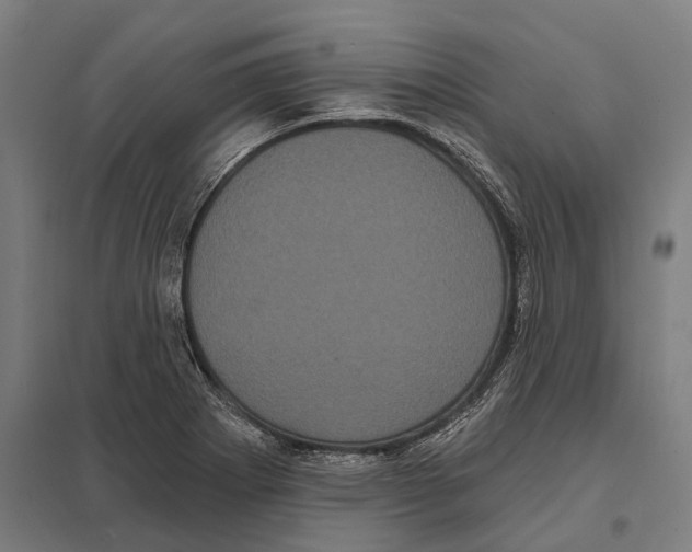 X0000097631273200803281051