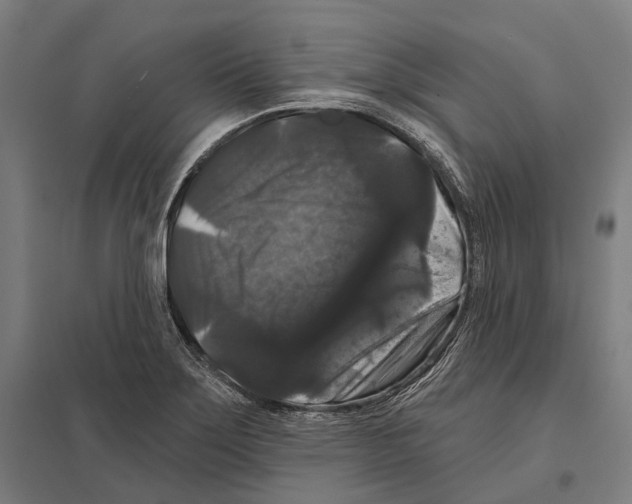 X0000097631275200803281051