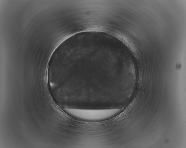 X0000097631276200803281051