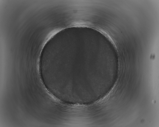 X0000097631277200803281051