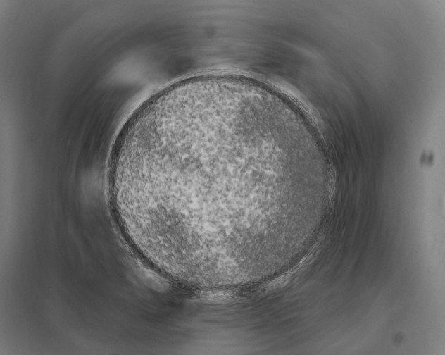 X0000097631278200803281051