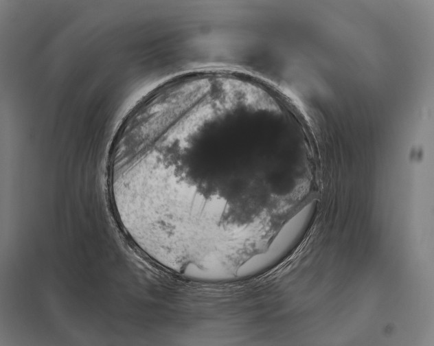 X0000097631279200803281051