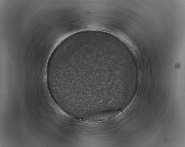 X0000097631280200803281051