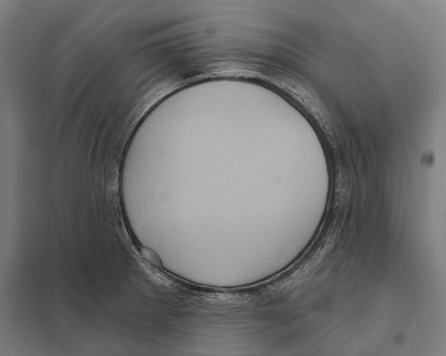 X0000097631281200803281051