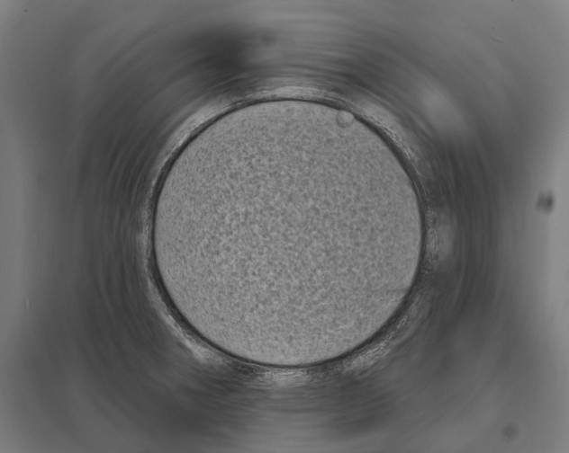 X0000097631282200803281051
