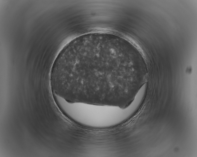 X0000097631283200803281051