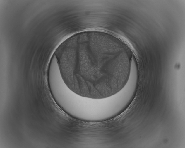 X0000097631284200803281051