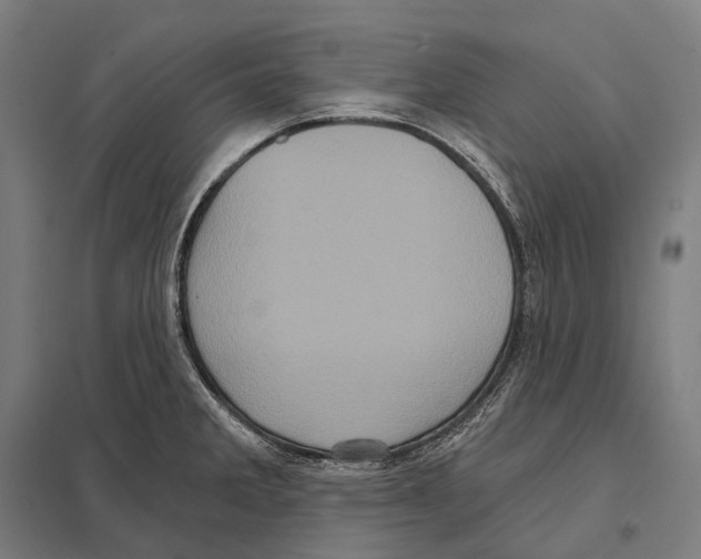 X0000097631285200803281051