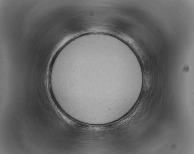 X0000097631286200803281051