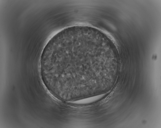 X0000097631287200803281051