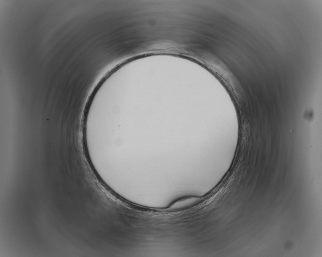 X0000097631288200803281051