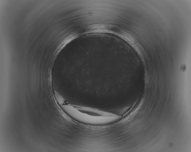 X0000097631289200803281051