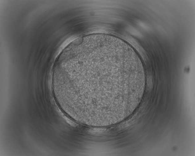 X0000097631290200803281051