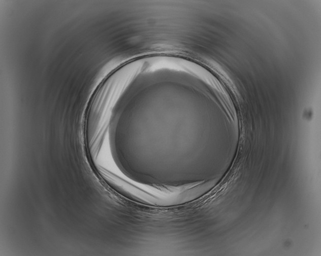 X0000097631291200803281051