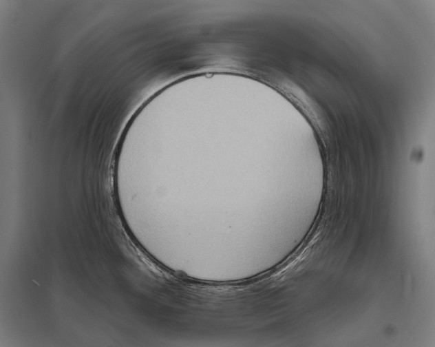 X0000097631292200803281051