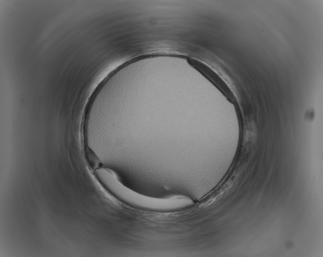 X0000097631293200803281051
