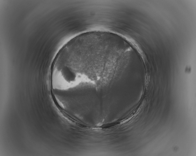 X0000097631295200803281051