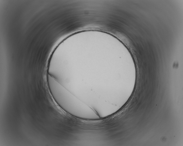 X0000097631296200803281051