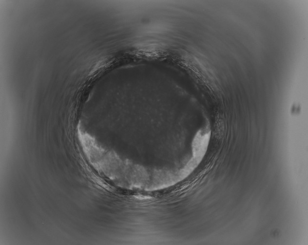 X0000097631297200803281050