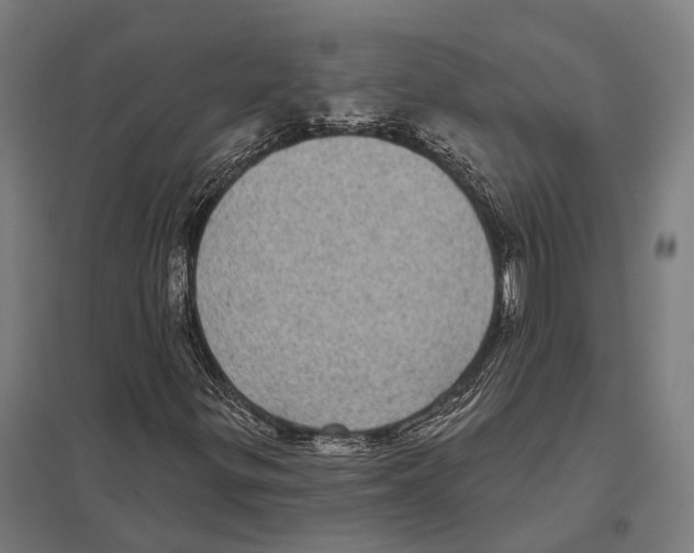 X0000097631299200803281050