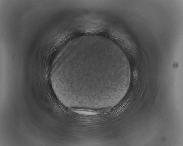 X0000097631300200803281050