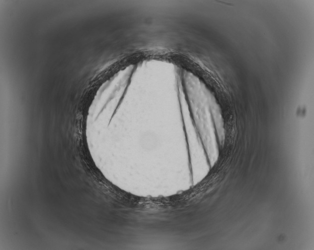 X0000097631301200803281050