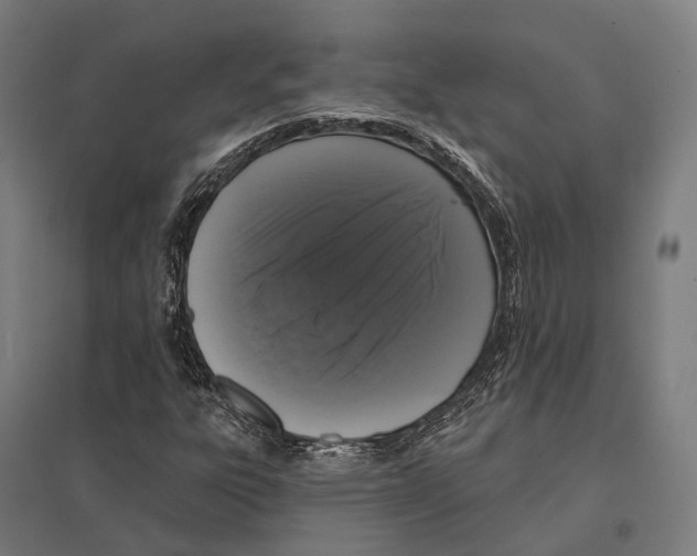 X0000097631303200803281050