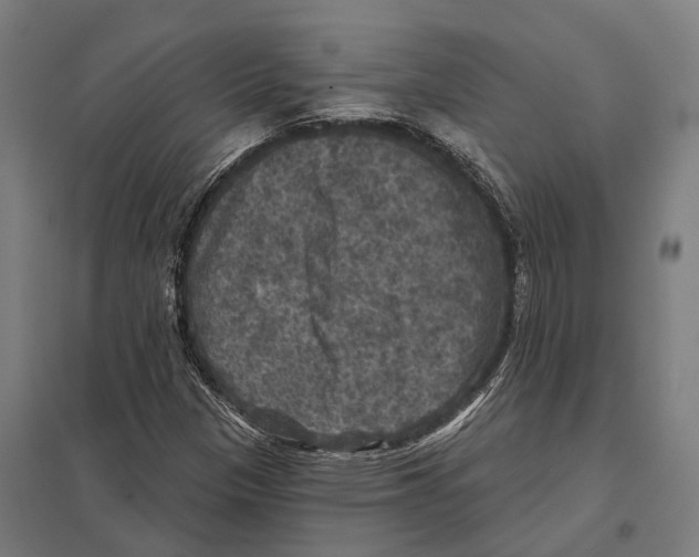 X0000097631305200803281050
