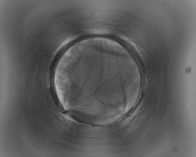 X0000097631306200803281050