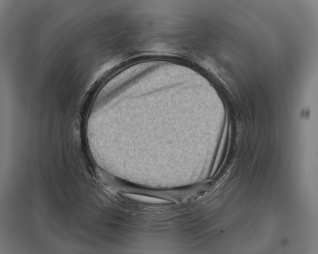 X0000097631307200803281050