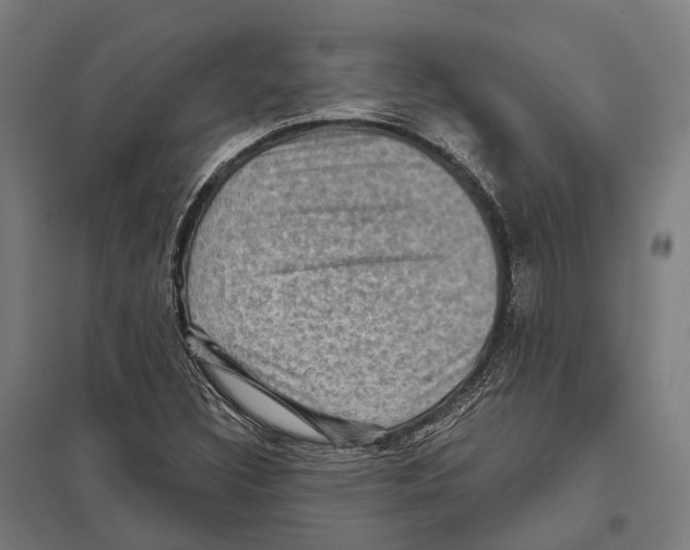 X0000097631308200803281050