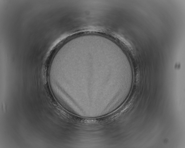 X0000097631310200803281050