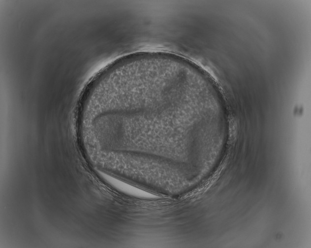 X0000097631311200803281050