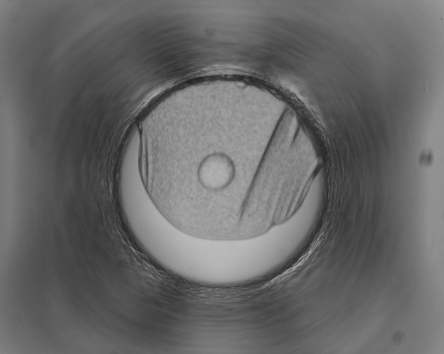 X0000097631313200803281050