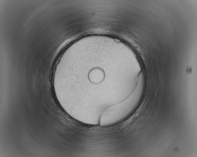 X0000097631314200803281050
