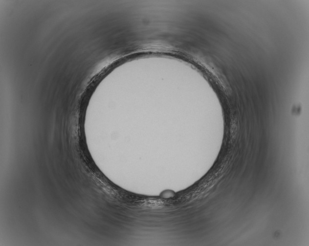 X0000097631315200803281050