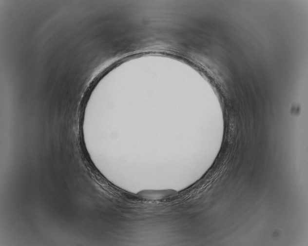X0000097631316200803281050