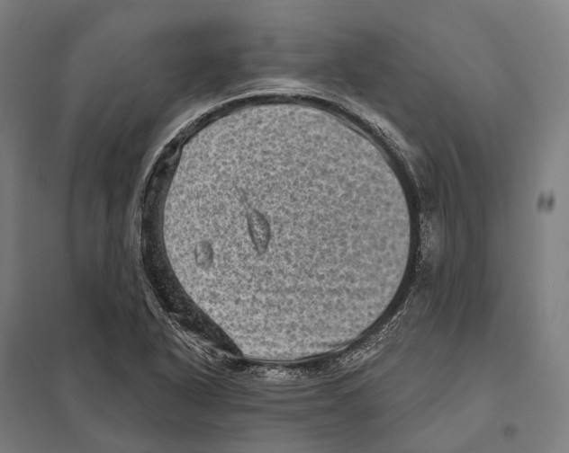 X0000097631318200803281050