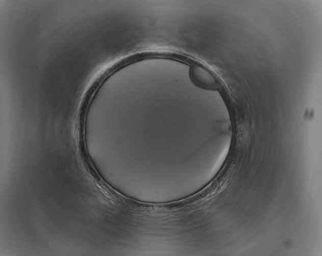 X0000097631319200803281050